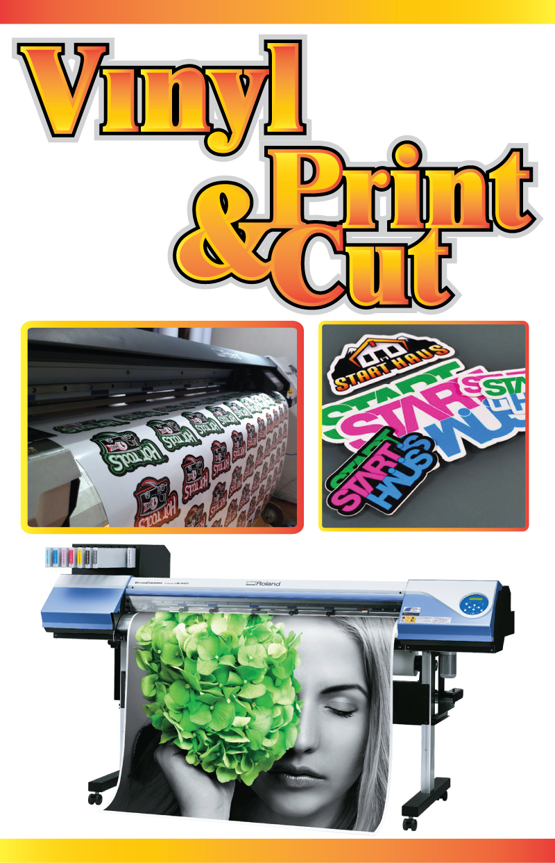 Vinyl Printing and Cutting Services