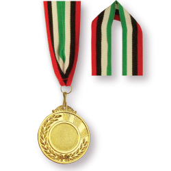 Lanyards in Medal Ribbon