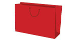 Laminated  Paper Shopping Bag A4 Size - Red Color
