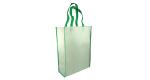 Non-Woven Reusable Bags Vertical - Green Color